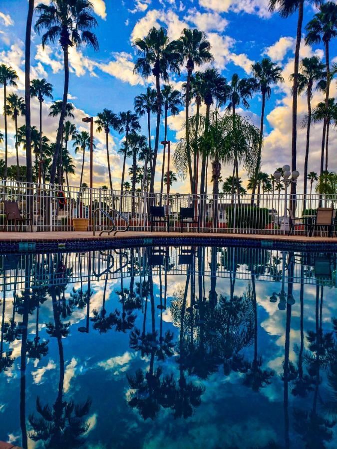 Victoria Palms Inn And Suites Donna Exteriér fotografie